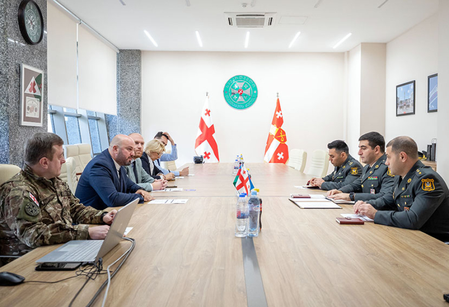 Azerbaijani, Georgian military specialists explore enhancing cybersecurity cooperation