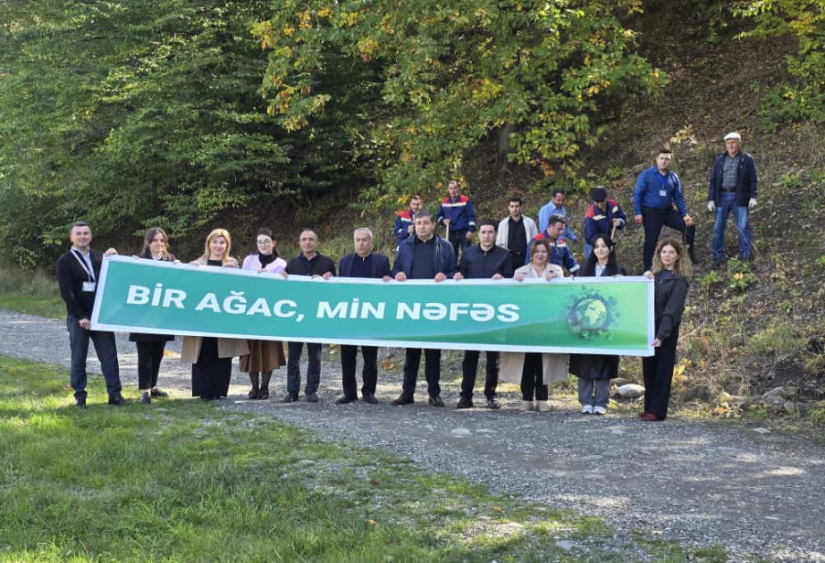 Qubada “Bir ağac – min nəfəs” şüarı ilə 600 ting əkiləcək