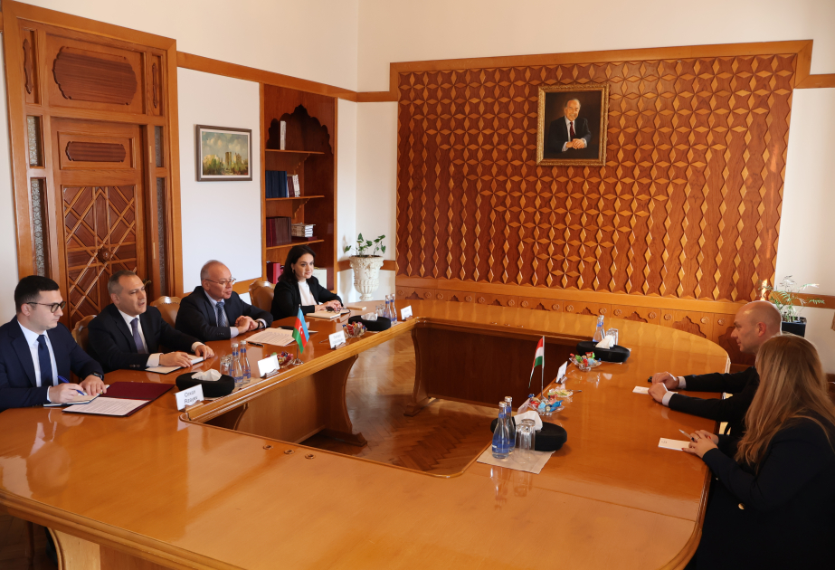 المحكمتان الدستوريتان في أذربيجان وهنغاريا تعززان التعاون الثنائي