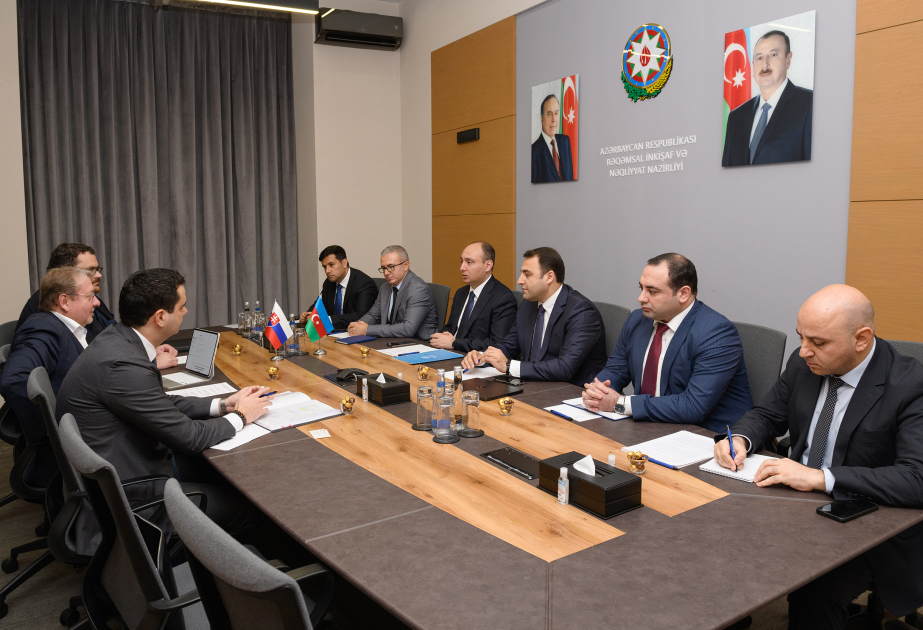 Se examinaron oportunidades de cooperación en ciberseguridad entre Azerbaiyán y Eslovaquia