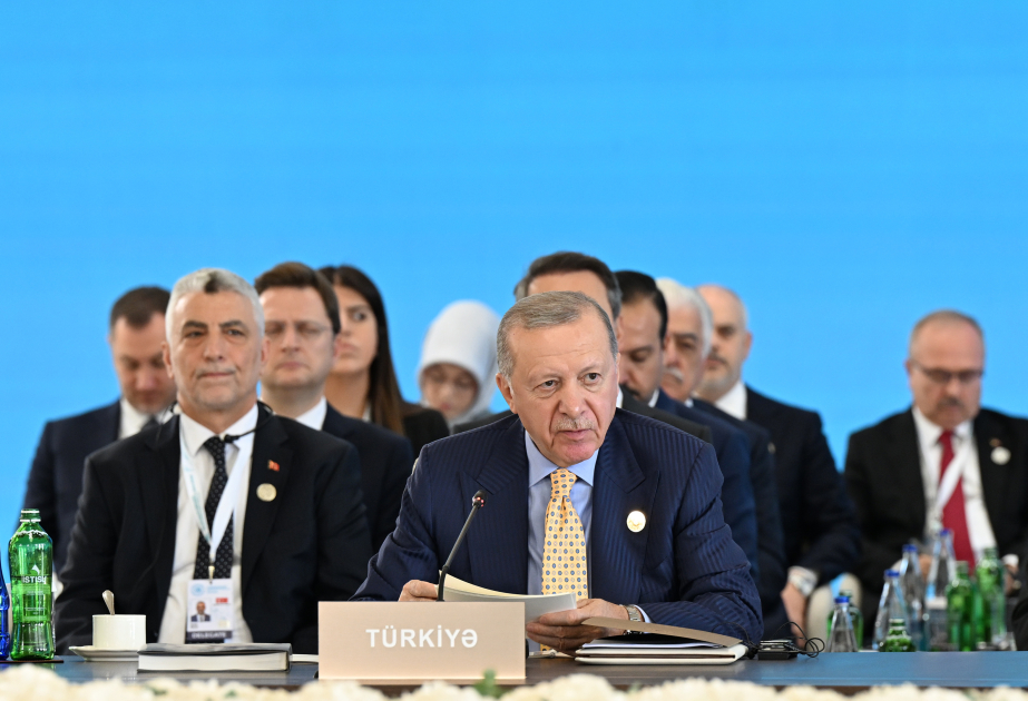 土耳其总统呼吁为子孙后代建立一个更强大的突厥世界