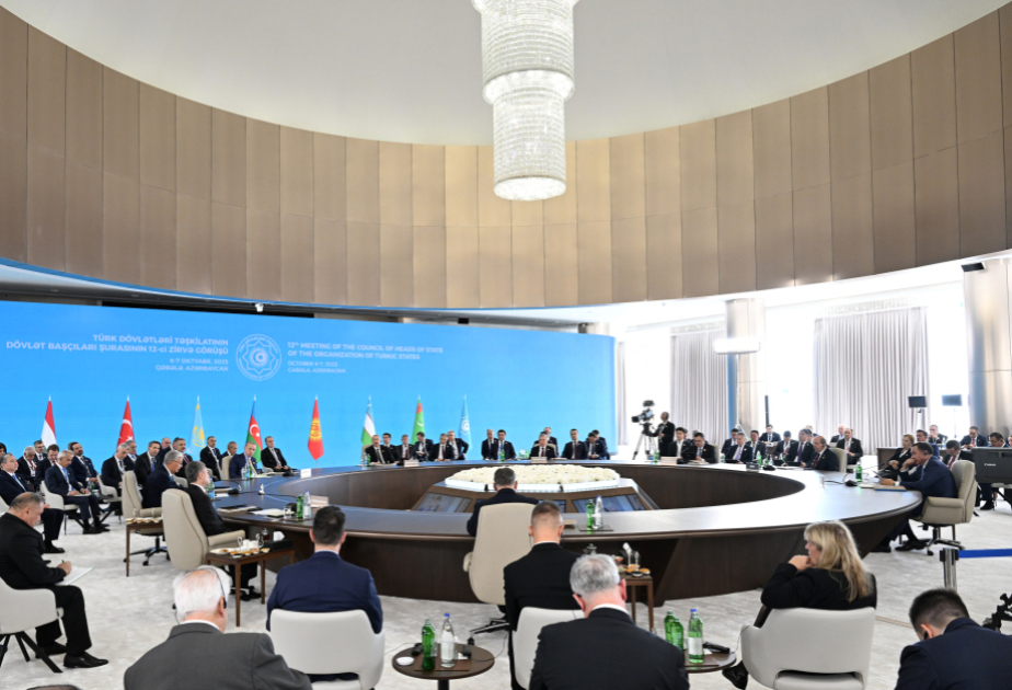 突厥国家组织国家元首理事会峰会重点关注哪些议题？