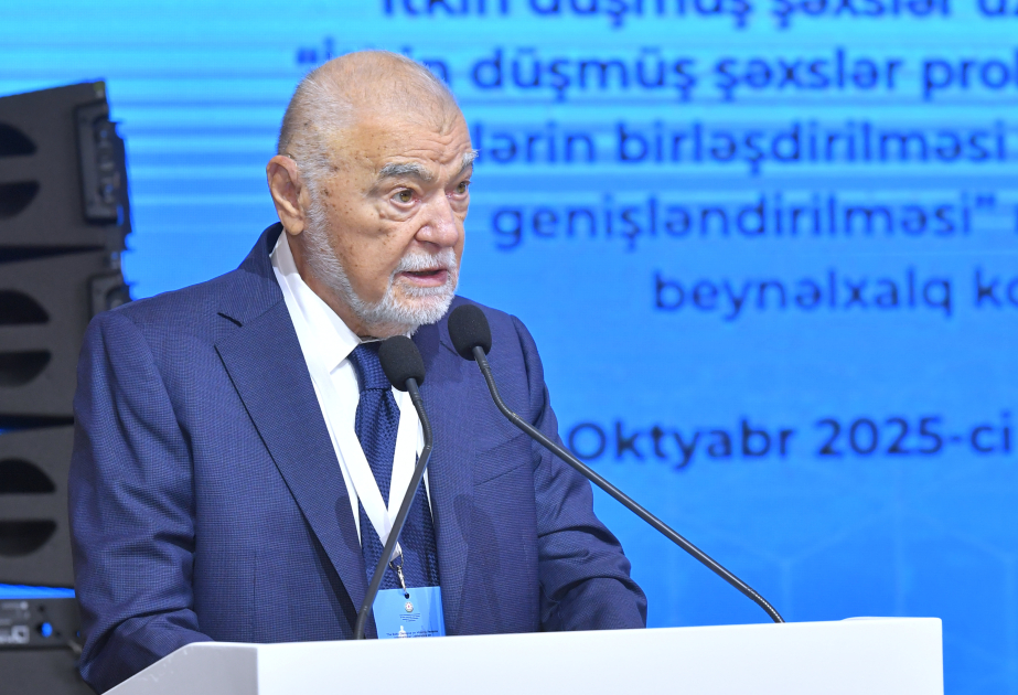 Stepan Mesiç: İtkin düşmüş şəxslər məsələsi dərin humanitar problemdir