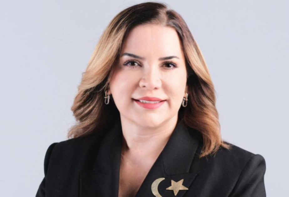Arzu Erdem: TDT-nin Qəbələ Sammiti regional sülhə və inkişafa töhfə verən tarixi bir görüş kimi yadda qaldı