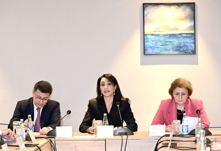 Ombudsman: Psixi sağlamlıq sahəsində qarşıda duran vəzifələr yalnız tək bir qurumun həll edə biləcəyi məsələlər deyil