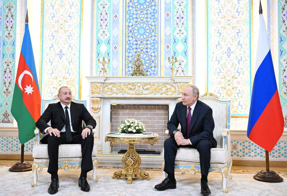 Russischer Präsident: Ursache des AZAL-Flugzeugabsturzes ist mit mehreren Faktoren verbunden