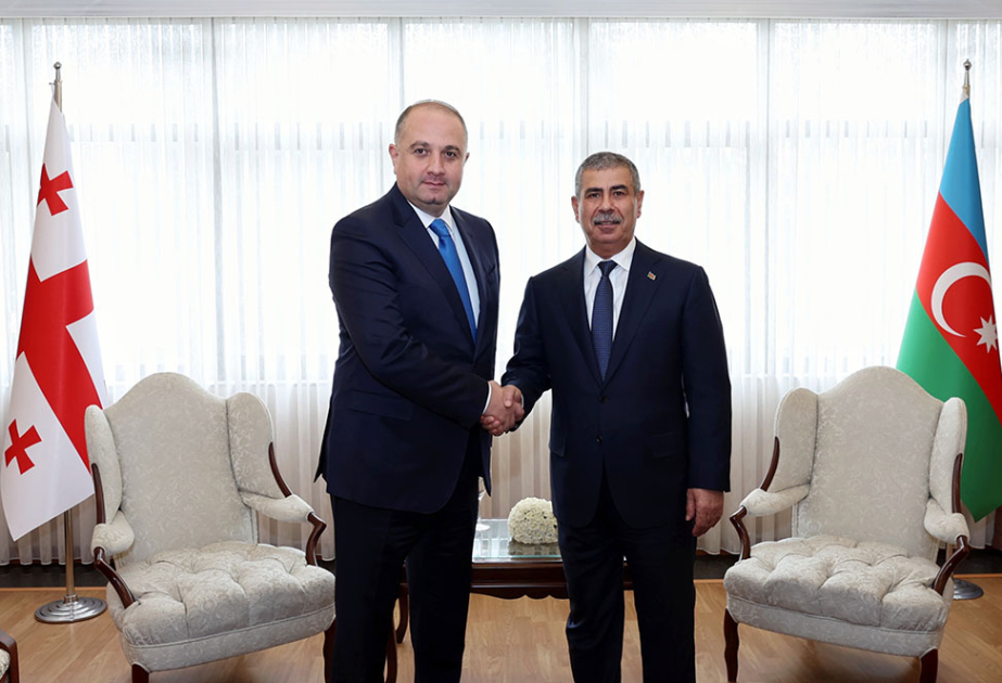 Azerbaijan Minister of Defense meets with Georgian counterpart