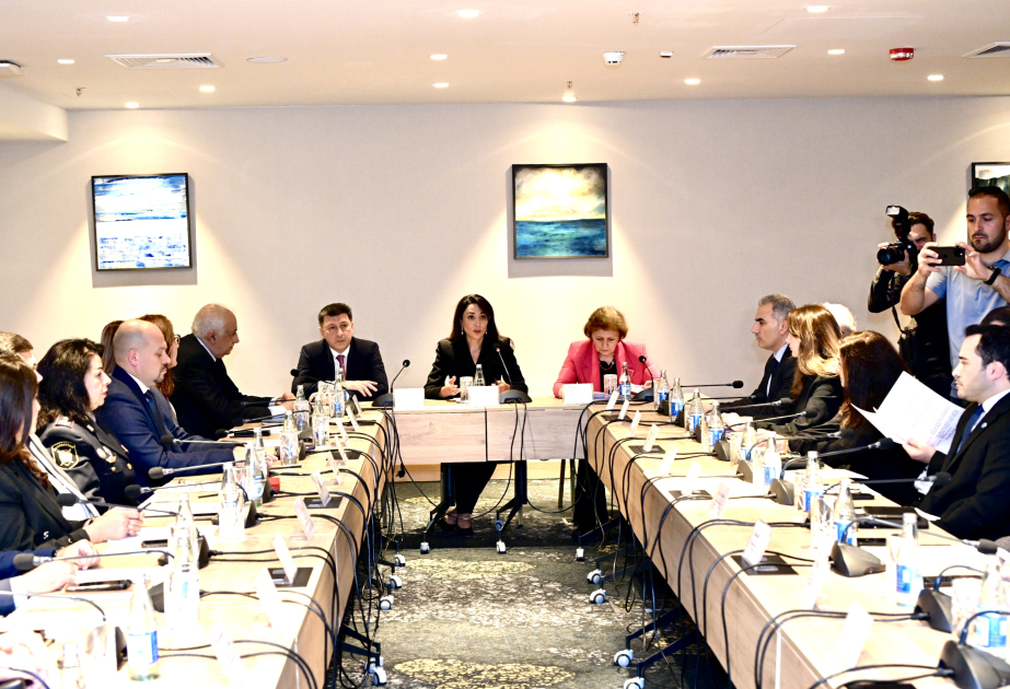 Ombudsman yanında “Psixi sağlamlıq və insan hüquqları” sahəsində İşçi Qrupun ilk iclası keçirilib