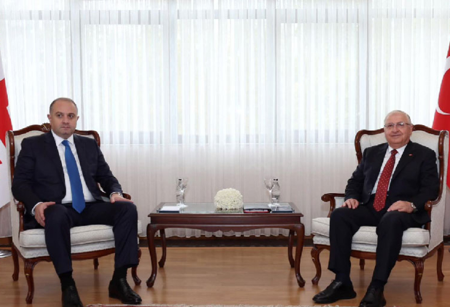 Türkiyə və Gürcüstanın müdafiə nazirləri təhlükəsizlik məsələlərini müzakirə ediblər