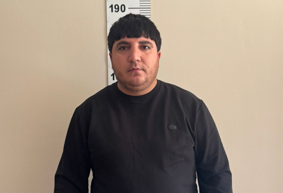 Naxçıvanda xaricə qanunsuz miqrasiya vədi ilə dələduzluq edən şəxs saxlanılıb
