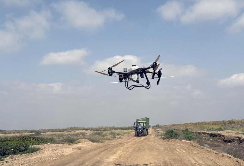 Biləsuvarda ilk dəfə olaraq pambıq sahələrinin becərilməsində dronlardan istifadəyə başlanılıb FOTO VİDEO