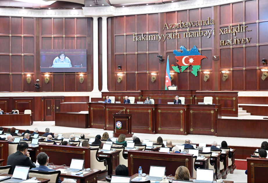 Azərbaycan Respublikası Konstitusiyasının 30 illiyi ilə əlaqədar yubiley medalı təsis ediləcək