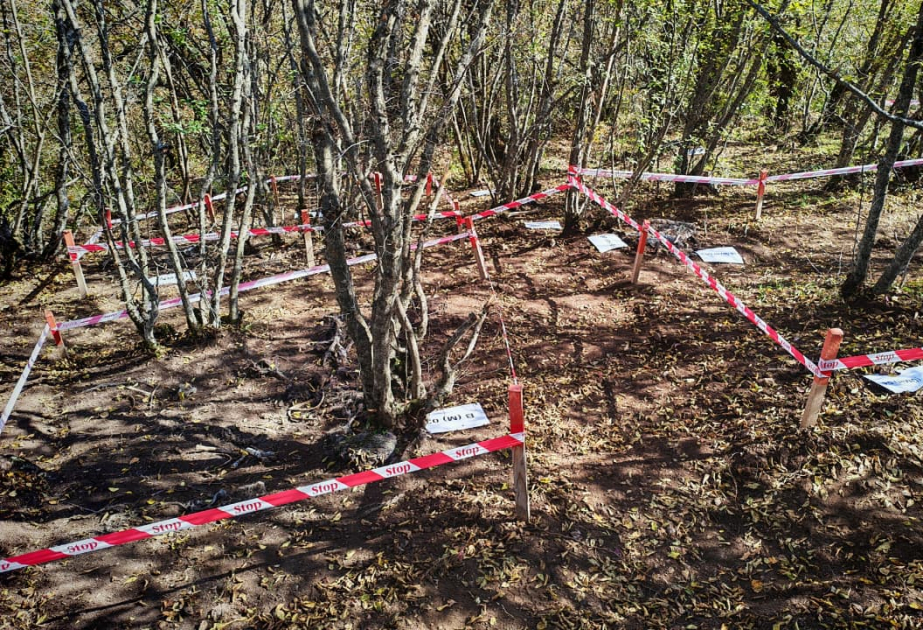 Remains of more than 10 people discovered in Balligaya village