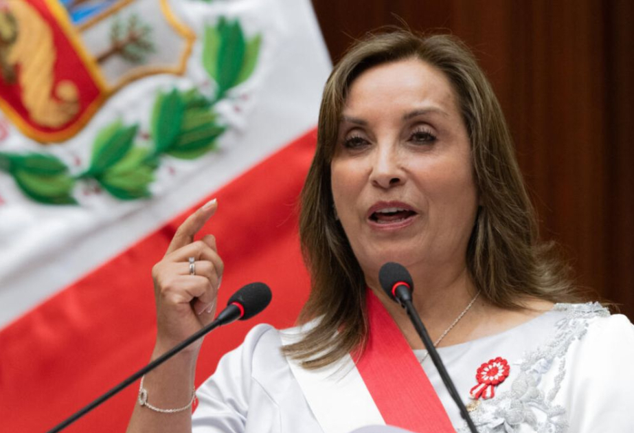 Peru’s Congress votes to remove President Boluarte as crime grips nation