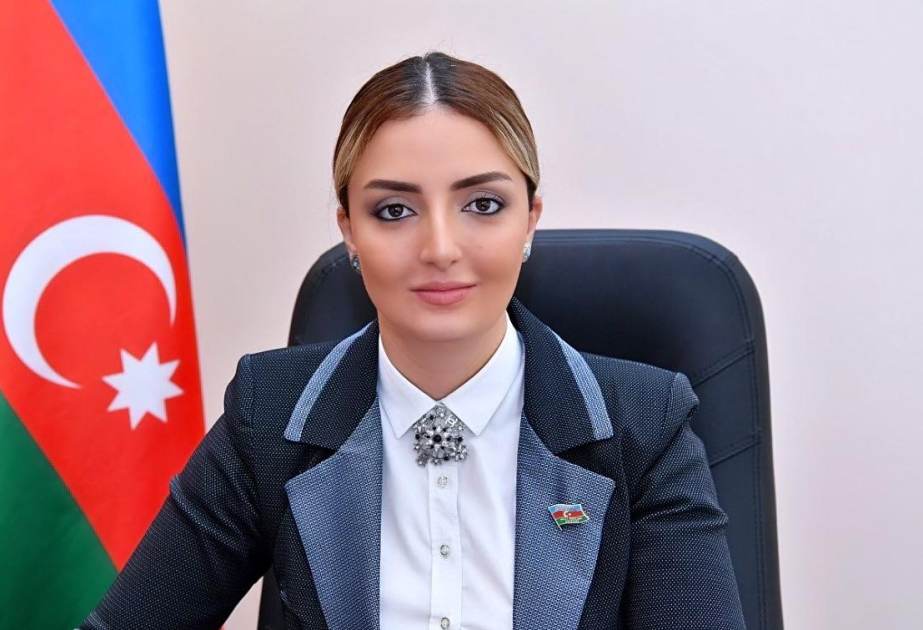 Deputat: TDT+ təşkilatın fəaliyyətində yeni mərhələnin başlanğıcı sayıla bilər