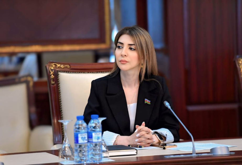 TDT beynəlxalq səviyyədə mühüm geosiyasi aktora çevrilməkdədir -  ŞƏRH