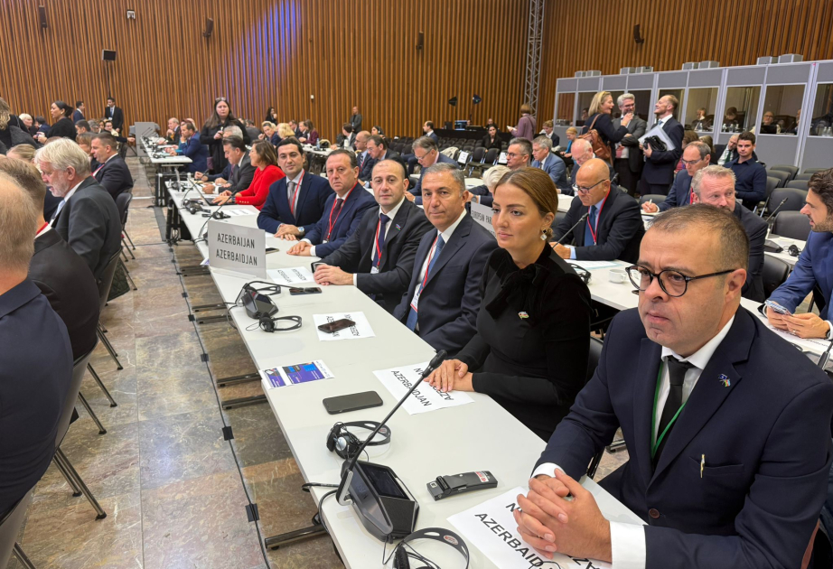 La delegación de Azerbaiyán participa en la 71. sesión anual de la Asamblea Parlamentaria de la OTAN