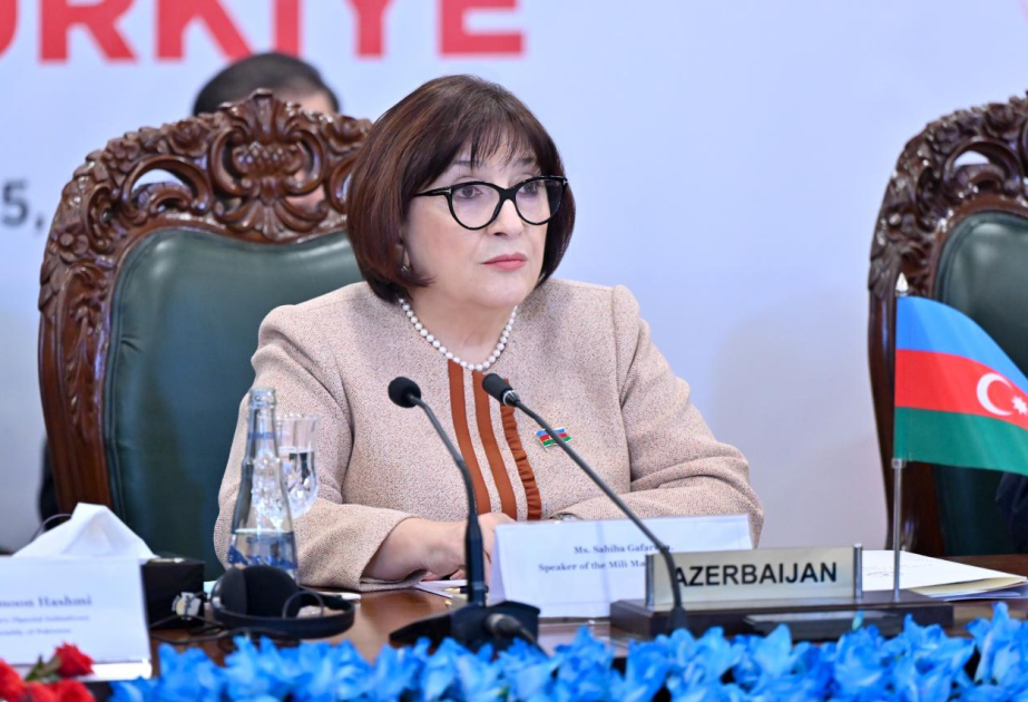 Sahibə Qafarova: Zəngəzur dəhlizi Avrasiyada mühüm nəqliyyat bağlantısına çevriləcək