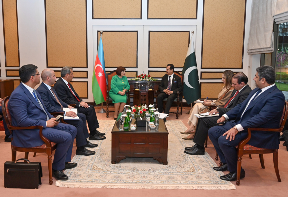 La présidente du Milli Medjlis azerbaïdjanais rencontre le président du Sénat pakistanais