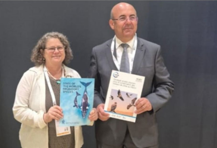 المؤتمر العالمي للمحافظة على الطبيعة بأبو ظبي: المغرب يطلق أول استراتيجية وطنية لحماية الطيور الجارحة