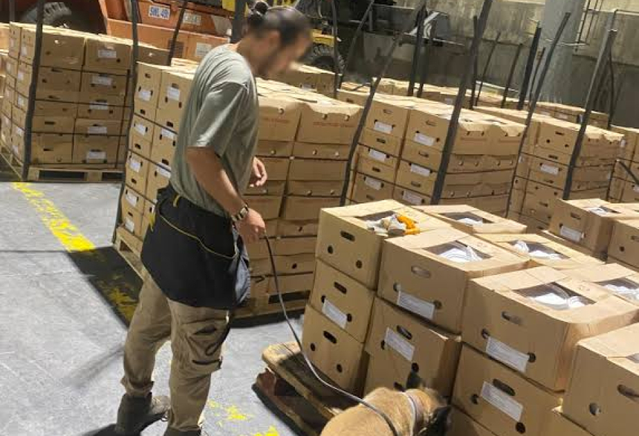 İstanbul limanındakı gəmidə 1 ton 700 kiloqram kokain aşkarlanıb