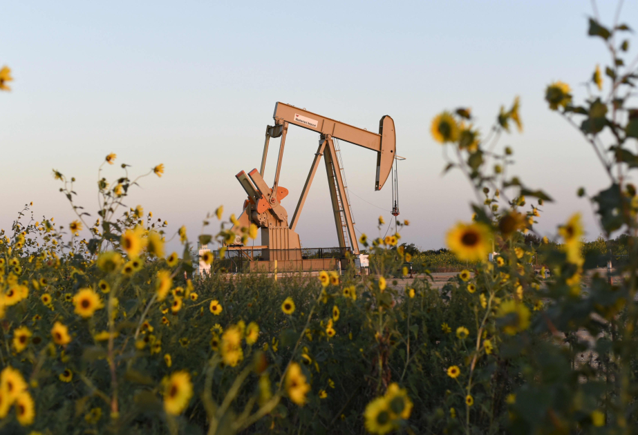 Les cours du pétrole reculent sur les bourses mondiales