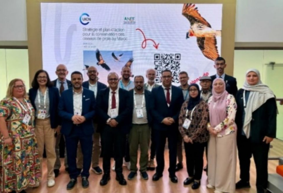 Abou Dhabi : le Maroc lance la première Stratégie Nationale pour la Conservation des Rapaces