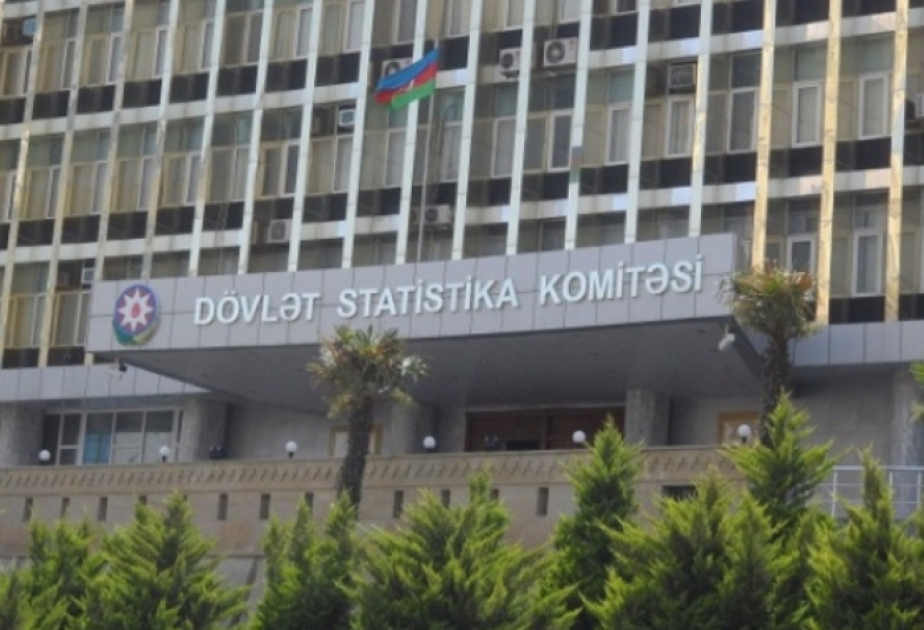 Cari ildə statistik vahidlərin sayı 5 faizədək artıb