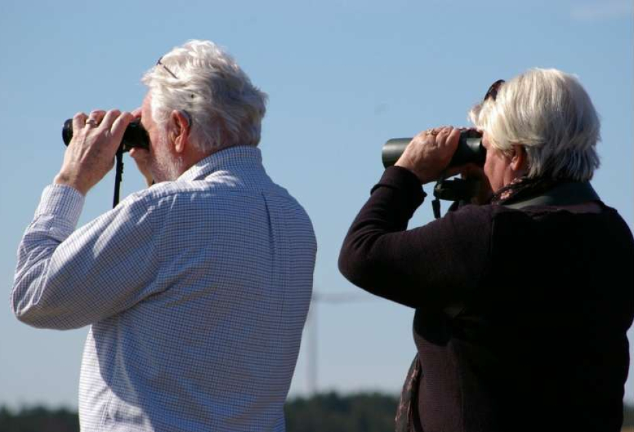 Quitting smoking linked to slower memory decline in midlife and older adults
