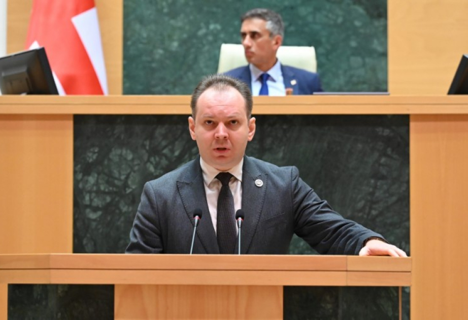Maliyyə və iqtisadi cinayətlərdə təqsirli bilinən şəxslərə Gürcüstanı tərk etmək qadağan ediləcək