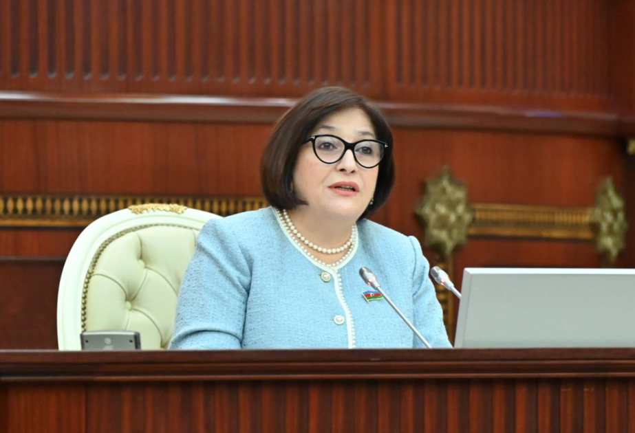 Sahibə Qafarova: Qanunvericilik, icraedici və məhkəmə hakimiyyətləri qarşılıqlı əlaqədə olmaqla səlahiyyətləri çərçivəsində müstəqildirlər