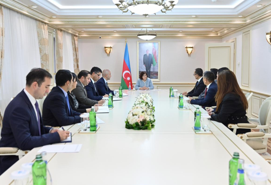 La Presidenta de Milli Majlis se reunió con la delegación encabezada por el nuevo secretario general de la TURKPA