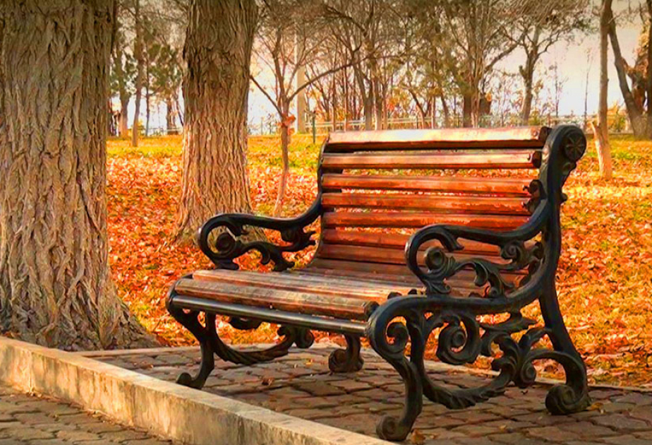 Qələbə müjdəli payızım