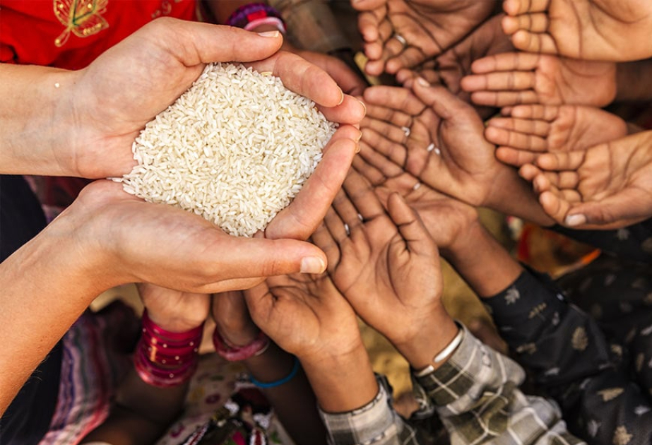 Aujourd’hui, c’est la Journée mondiale de l'alimentation et le 80e anniversaire de la FAO