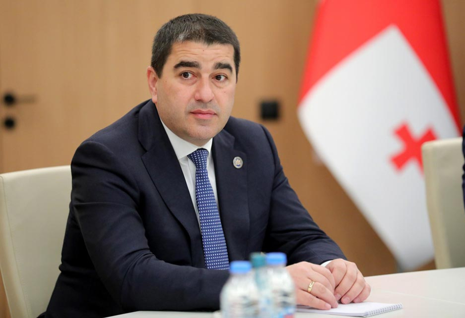 Gürcüstan parlamentinin sədri Venesiya Komissiyasını sərt tənqid edib
