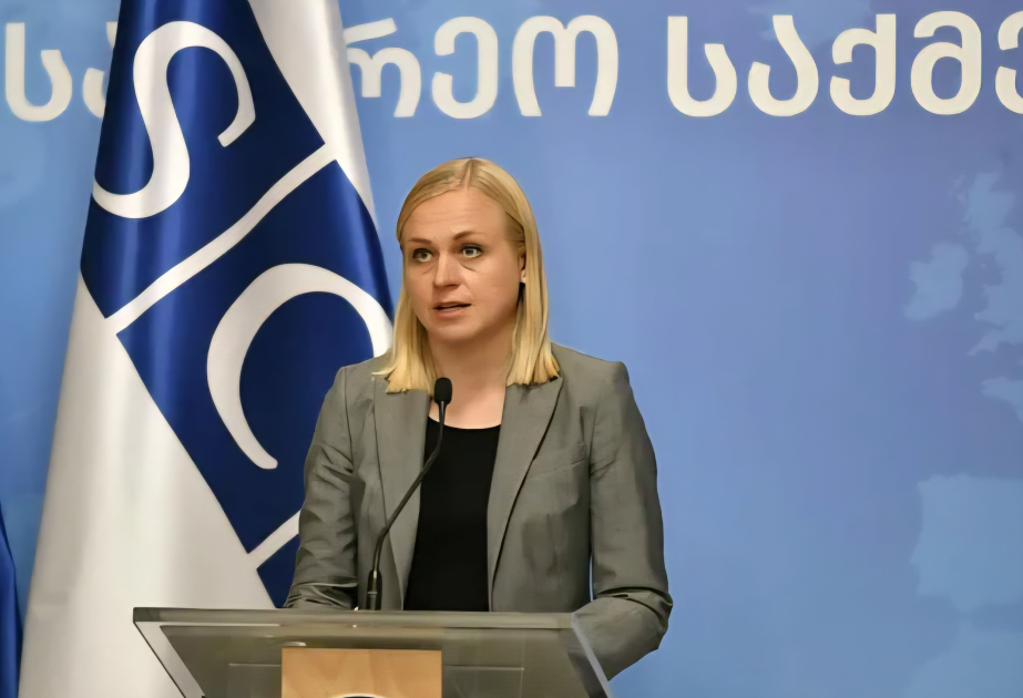 ATƏT-in sədri Gürcüstanın Baş naziri ilə görüşünü ləğv etməli olduğuna görə üzr istəyib