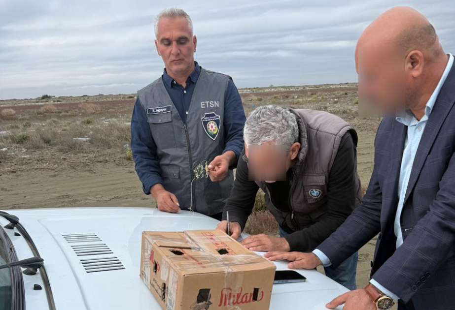 Neftçalada ov qaydalarını pozan şəxs saxlanılıb