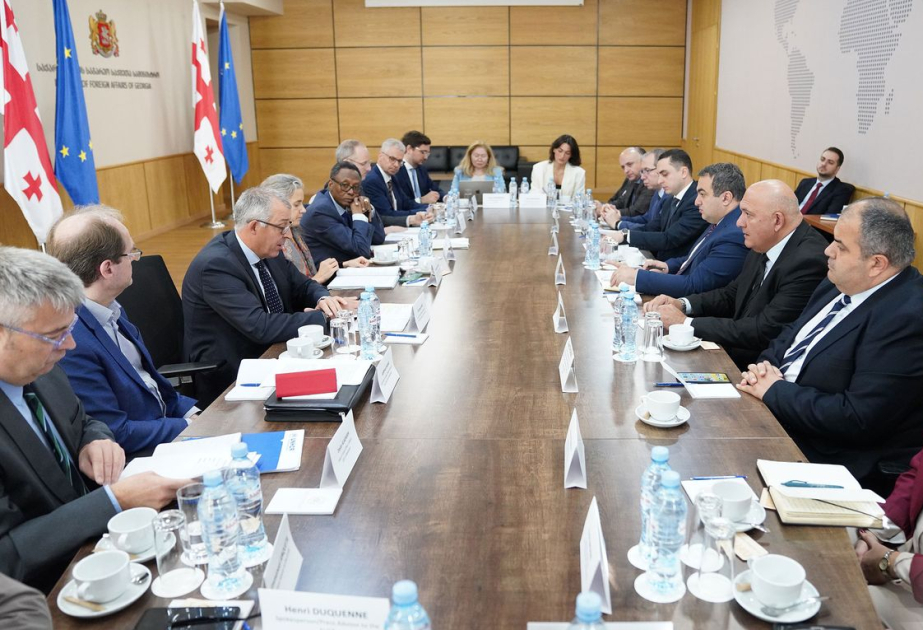 Gürcüstanda Cenevrə Beynəlxalq Danışıqlarının 65-ci raunduna hazırlıq iclası keçirilib