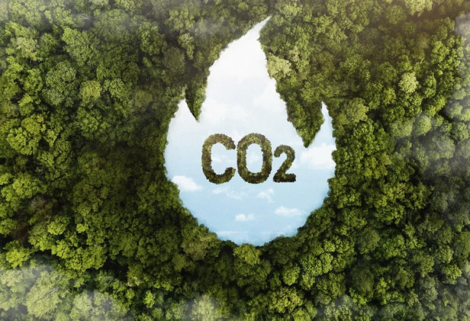 Carbon dioxide levels increase by record amount to new highs in 2024