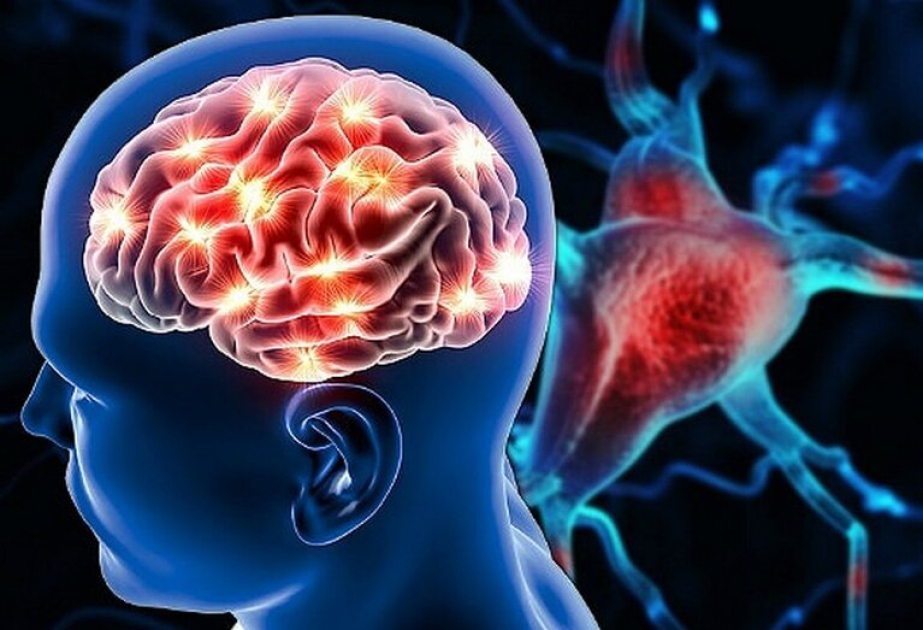 Why our brain agrees on what we see: New study reveals shared neural structure behind common perceptions