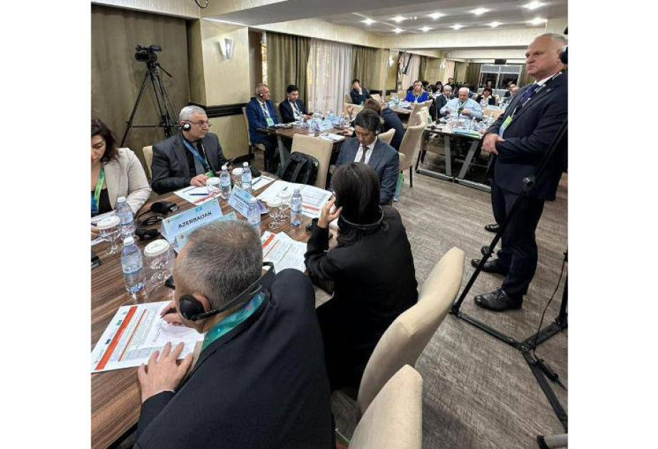 Представители Азербайджана приняли участие в региональном семинаре в Алматы