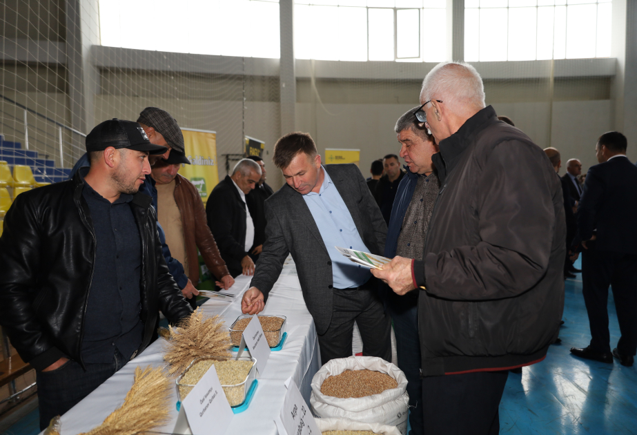 Qusarda Aqrar Biznes Festivalı və toxum sərgi-satış yarmarkası keçirilib