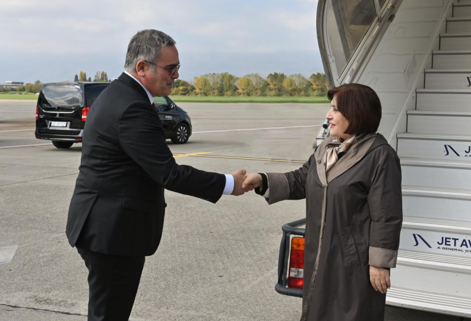 La Presidenta de Milli Majlis realizó una visita de trabajo a la Confederación Suiza