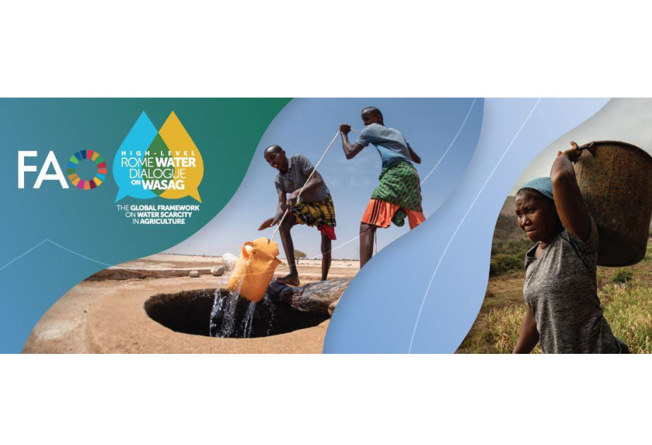 إعلان روما بشأن ندرة المياه في الزراعة يحظى بترحيب منظمة الأغذية والزراعة