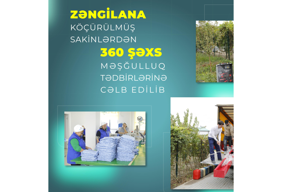 Zəngilana köçürülmüş sakinlərdən 360 şəxs məşğulluq tədbirlərinə cəlb edilib