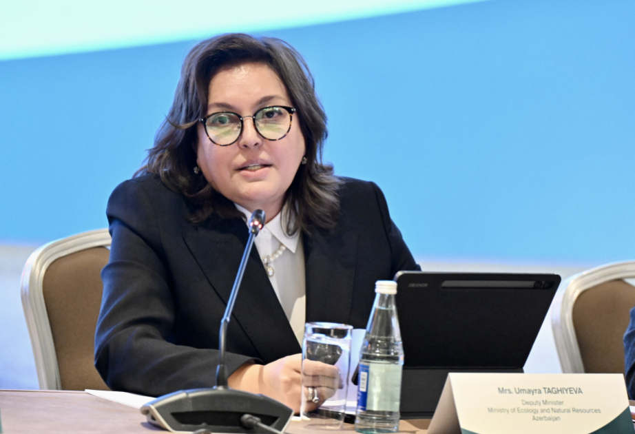 Azerbaijan represented at extraordinary session of World Meteorological Congress