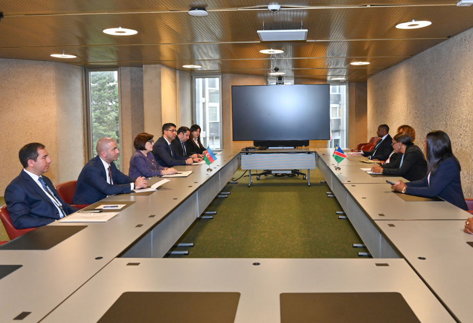 Presidenta de Milli Majlis se reunió con los Presidentes de los Parlamentos de Namibia y Bosnia y Herzegovina en Ginebra