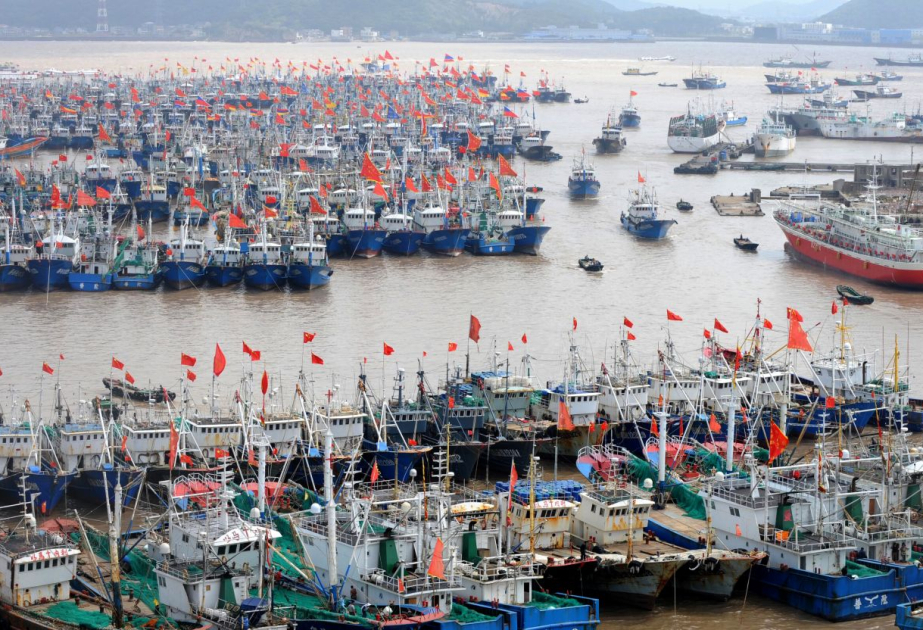 South China’s 3 ports suspend operations in face of Typhoon Fengshen