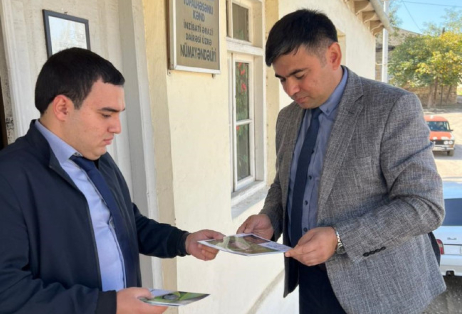 AQTA: Qəhvəyi mərmər bağacığına qarşı tədbirlər davam etdirilir