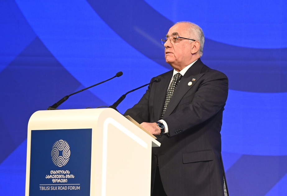 Baş nazir: Azərbaycan və Gürcüstan müasir nəqliyyat infrastrukturuna görə Orta Dəhlizin ən mühüm iştirakçıları sırasındadır